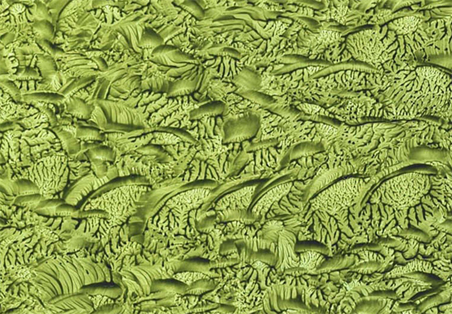 Follow The Patterns to Get Inside Javari